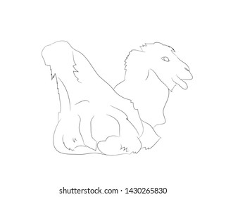 vector illustration of a camel that lies, drawing by lines, vector, white background