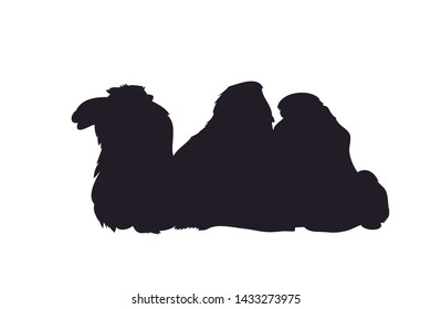 vector illustration of a camel that lies, drawing silhouette, vector, white background