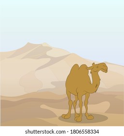 vector illustration of a camel that lies on nature, vector