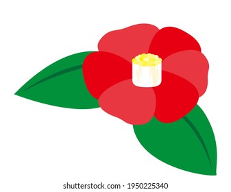Vector illustration of camellia flowers.
