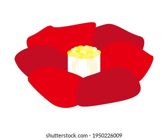 Vector illustration of camellia flowers.