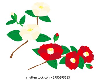 Vector illustration of camellia flowers.