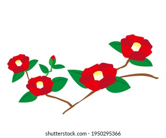 Vektorgrafik von Kamelien-Blumen.