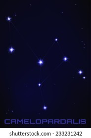 Vector illustration of Camelopardalis star constellation in blue 