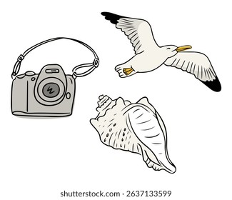 Vector illustration of a camera, flying seagull and seashell on white background. Summer vacation and coastal exploration concept in a simple hand drawn style