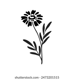 Vector illustration of camomile flower in simple hand drawn and linocut style. Simple contour vector illustration for cosmetics, postcard and pattern.