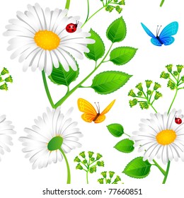Vector illustration of Camomile seamless background