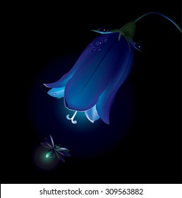 Vector illustration of Campanula flower and firefly