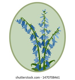 Vector illustration of campanula in a frame. Design for natural cosmetics, health products, isolated on white background.