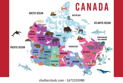 Vector Illustration of Canada map animal flat design
