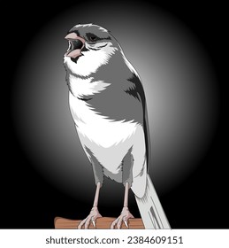 vector illustration of a canary with black and white feathers on wood