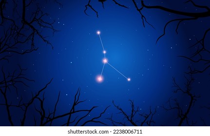 Vector illustration Cancerconstellation. Tree branches, dark blue starry sky, cosmos. Illustration of constellation scheme Cancer zodiac sign
