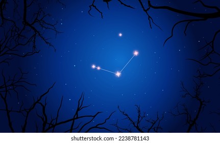 Vector illustration CanesVenatici constellation. Bright constellation in open space. Starry sky behind tree silhouette