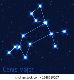 Vector illustration of Canis Major constellation. Astronomical Big dog. Cluster of realistic stars in the dark blue starry sky.