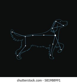 Vector illustration of Canis Major. Dog constellation hand-drawn background. Astrology picture on dark isolated background.