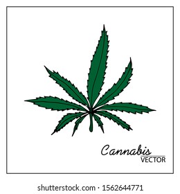 Vector illustration of cannabis. Isolated on a white background. For chemistry, schemes, business, design, botanical books, books about herbs, textbooks, medical books