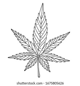 Vektorillustration-Illustration von Cannabisblättern einzeln auf weißem Hintergrund. Handgezeichnet. Umriss