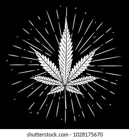 Vector illustration with Cannabis leaf. Used for poster, banner, t-shirt print, bag print, badges and logo design. Marijuana leavs