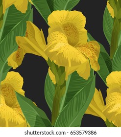 Vector Illustration of  Cannaceae flower seamless pattern.