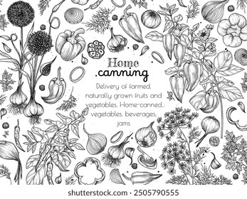 Vector illustration of canned pepper. Sweet pepper, chili pepper, garlic, dill, onion, parsley in engraving style
