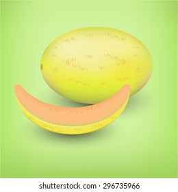 Vector illustration of Cantaloupe melon and slice on a green background.