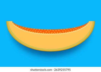 Vector illustration of a cantaloupe slice with juicy pulp on blue background. Ideal for summer food themes, kids design, packaging, icon or fruit concepts