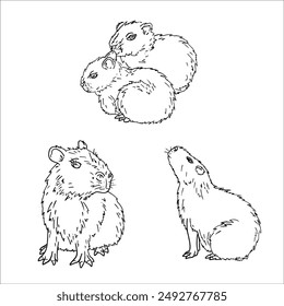 Vector illustration of capybara isolated on white background. For kids coloring book..