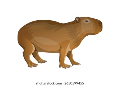 Vector illustration of capybara, the largest rodent. Wildlife animal symbolizing nature, biodiversity, eco-friendliness, and peaceful temperament. Isolated on white background.