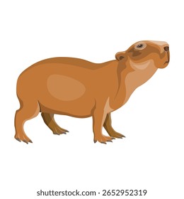 Vector illustration of capybara. Wildlife animal symbolizing nature, biodiversity, eco-friendliness, and peaceful temperament. Isolated on white background.