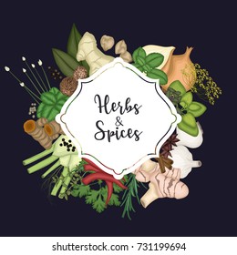 Vector illustration of Card design background with spices and herbs