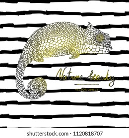 Vector illustration. Card design. Chameleon on striped background.