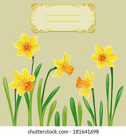 Vector illustration of card with easter pastel daffodil in center and frame