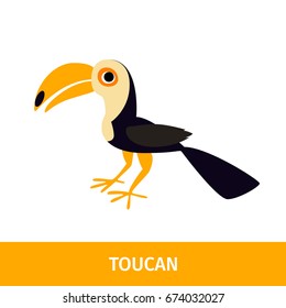 Vector illustration. Card with the image and name of the bird. Toucan
