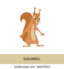 Vector illustration. Card with the image and name of the animal.Squirrel