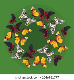 vector  illustration of card with  imaginary wreath of butterflies