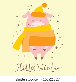Vector illustration card with the symbol of the year - yellow pig and funny hand drawn qoute - Hello winter