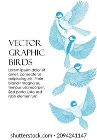 Vektorgrafik einer Kartenvorlage mit grafischen Titeln linearer Vögel