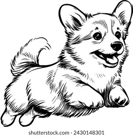 Vektor-Illustration eines Strickjacke Welsh Corgi Welpen