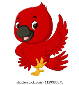 vector illustration of Cardinal bird cartoon