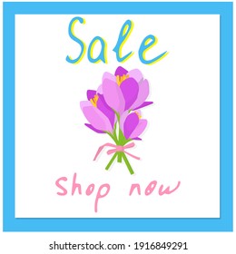Vector illustration for cards, posters, coupons, promotional materials. Bouquet of purple crocuses, saffron. 