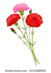 Vector illustration of carnation bouquet
