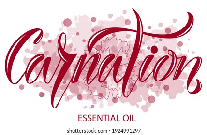 Vector illustration of Carnation
Essential Oil text for logotype, packaging, banner, label, poster, decoration, postcard. Carnation Essential Oil calligraphy background. EPS 10.