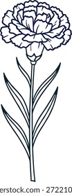 Ilustração vetorial da flor do craveiro com pétalas e folhas estriadas,Ilustração vetorial da flor do craveiro com pétalas e folhas estriadas,