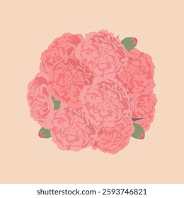 Vector illustration of carnation flowers