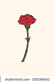 Vector Illustration. Carnation flowers illustration with color.