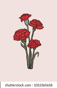 Vector Illustration. Carnation Flowers Illustration With Color.