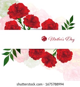 vector illustration of carnations background