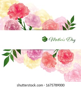 vector illustration of carnations background