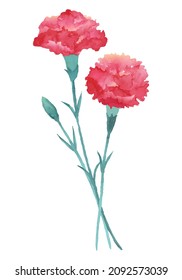 Vector illustration of carnations for mother's day