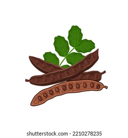 Vector illustration, carob pods and beans, with green leaves, isolated on a white background.